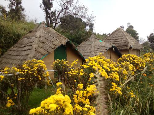 Nainital Indien Last-Minute-Rabattcode Booking.com