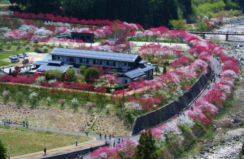Iida Japan Last Minute Discount Code Agoda.com