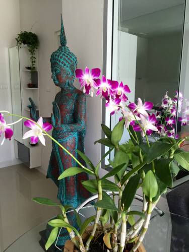 Karon Beach Thailand Laatste minuut Kortingscode Booking.com