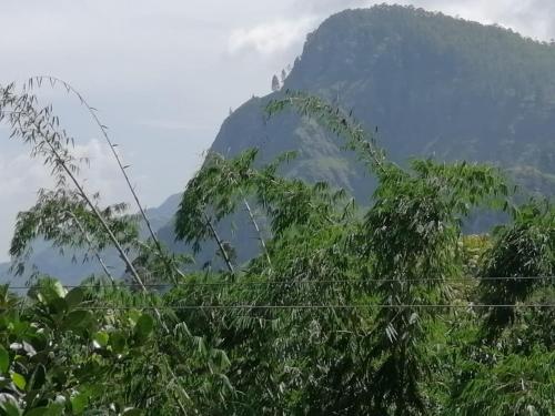 Ella Sri Lanka Last Minute Discount Code Agoda.com
