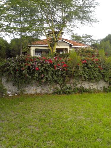 Kikuyu Kenya Code de réduction de dernière minute Booking.com