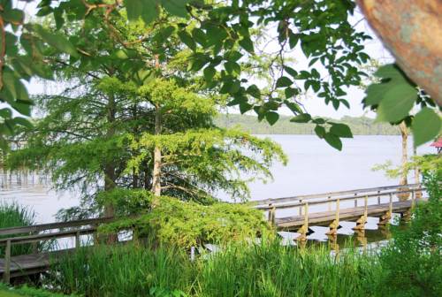 Saint John (Louisiana) United States Last Minute Discount Code Booking.com