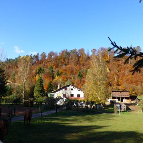 soucht France Last Minute Discount Code Booking.com