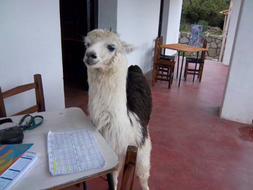 Tafi del Valle Argentina Last Minute Discount Code Booking.com