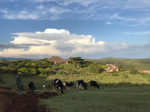 Karatu Tanzania Last Minute Discount Code Agoda.com