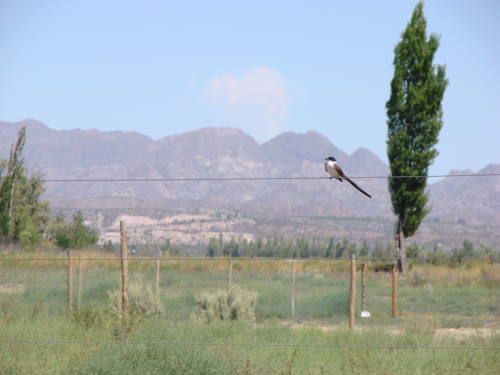 Villa 25 de Mayo Argentina Last Minute Discount Code Booking.com