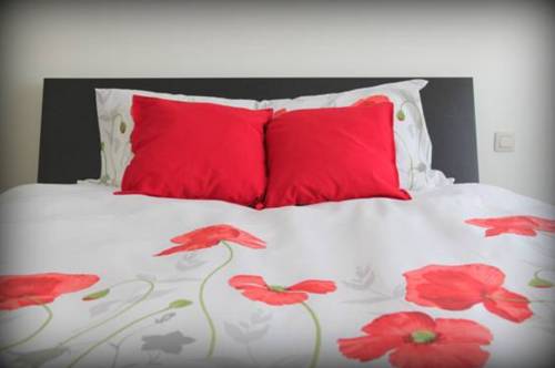Caballero Bélgica Último Minuto Código de Descuento Booking.com