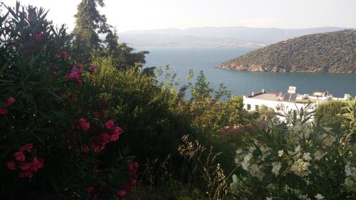 Bogazici Turkey Last Minute Discount Code Agoda.com