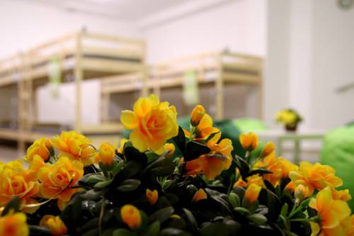 Simferopol Crimea Último Minuto Código de Descuento Booking.com