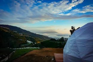 Cameron Highlands Malaysia Last Minute Discount Code Agoda.com