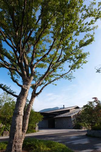 Yufuin Japan Last Minute Discount Code Booking.com