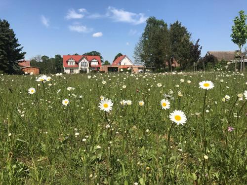 Rietz Neuendorf Germany Last Minute Discount Code Agoda.com