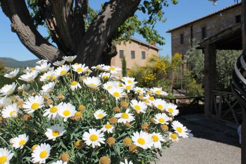 Sovicille Italien Last-Minute-Rabattcode Booking.com