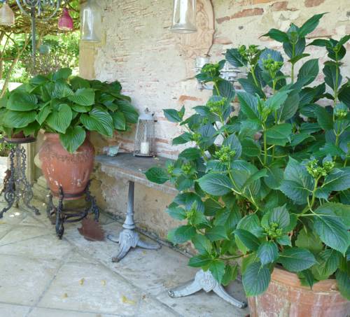 Termes d'Armagnac France Last Minute Discount Code Booking.com