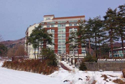Pyeongchang South Korea Last Minute Discount Code Booking.com