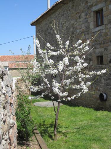 Matalbaniega Spain Last Minute Discount Code Booking.com