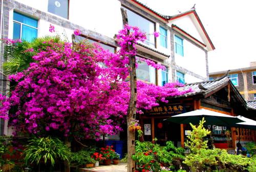 Lijiang Chine Code de réduction de dernière minute Booking.com