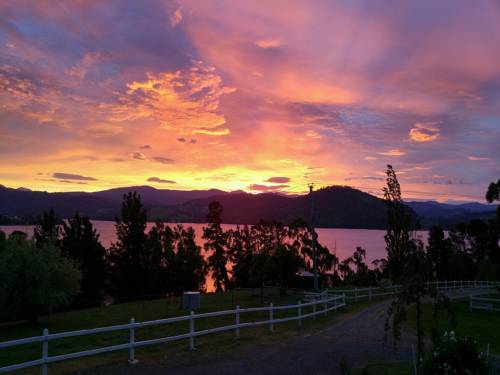 Wattle Grove Australia Last Minute Discount Code Booking.com