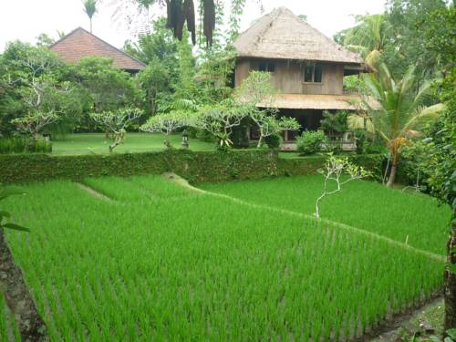 Ubud Indonesia Último Minuto Código de Descuento Booking.com