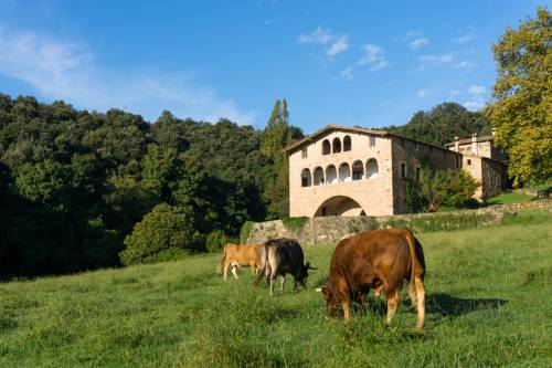 Sant Salvador de Bianya Spanien Last-Minute-Rabattcode Booking.com