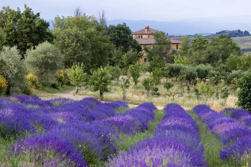 Montefollonico Italien Last-Minute-Rabattcode Booking.com