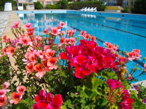 Kavarna Bulgaria Last Minute Discount Code Booking.com