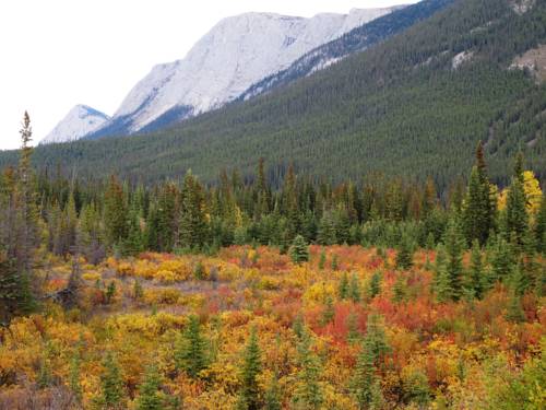 Whitehorse (Yukon) Canada Last Minute Discount Code Booking.com