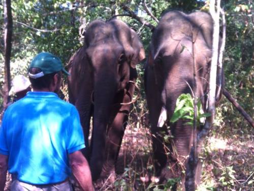 Sen Monorom Cambodia Last Minute Discount Code Booking.com