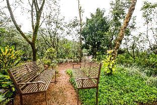 Wayanad India Last Minute Discount Code Agoda.com
