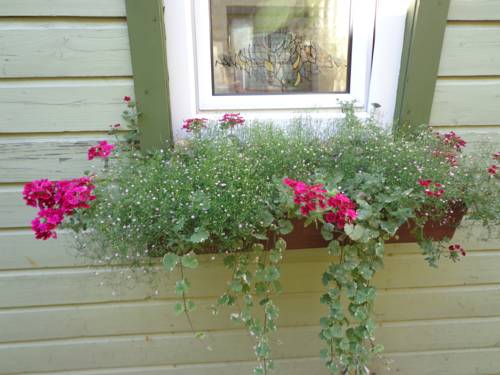 Palanga Lithuania Last Minute Discount Code Booking.com