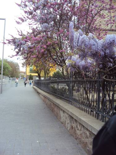 Burgas Stadt Bulgarien Last-Minute-Rabattcode Booking.com