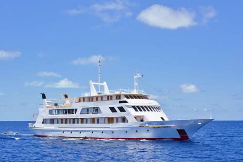 Mannelijke stad Maldiven Laatste minuut Kortingscode Booking.com