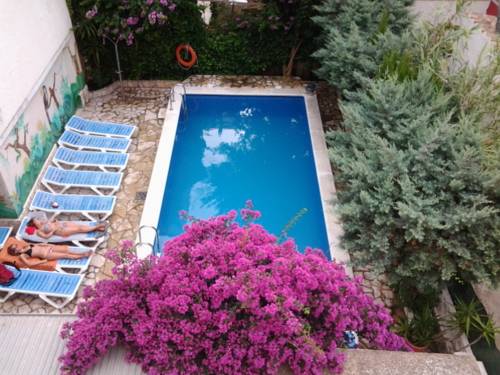 Roses Spain Last Minute Discount Code Booking.com