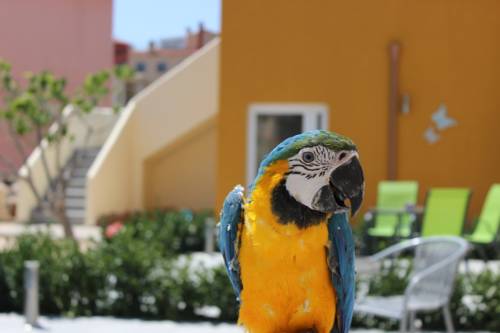 Empuriabrava Spain Last Minute Discount Code Booking.com