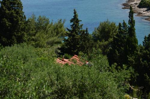 Postire Croatia Last Minute Discount Code Booking.com