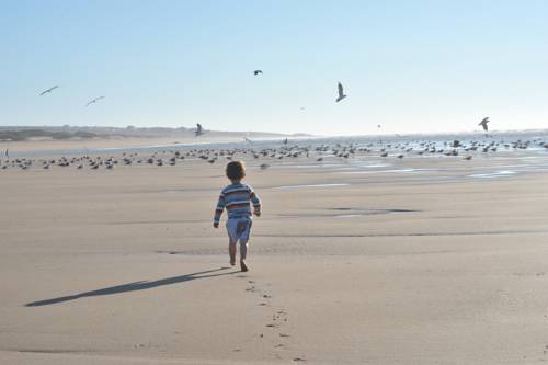 Sidi Rbat Morocco Last Minute Discount Code Booking.com