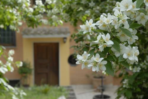 Località Selva Grande Italien Last-Minute-Rabattcode Booking.com