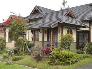 Puncak Indonesia Last Minute Discount Code Agoda.com