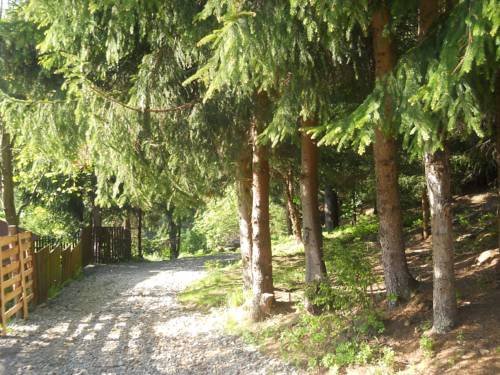 Cavnic Romania Last Minute Discount Code Booking.com