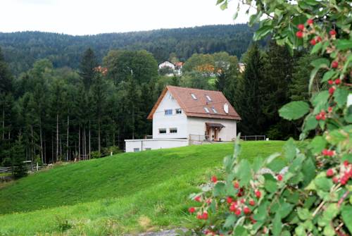 Grafendorf bei Hartberg Austria Last Minute Discount Code Booking.com