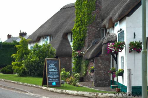 Honiton United Kingdom Last Minute Discount Code Booking.com