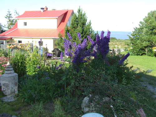 Gaspé (Quebec) Canada Last Minute Discount Code Booking.com