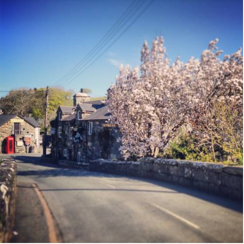 Gwynedd United Kingdom Last Minute Discount Code Booking.com