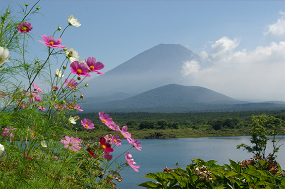 Fujikawaguchiko Japan Last Minute Discount Code Agoda.com