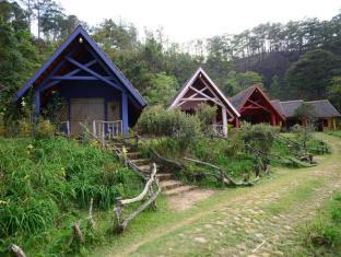 Lac Duong Vietnam Last Minute Discount Code Agoda.com