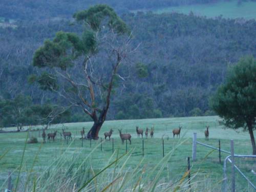 Willaura Australia Last Minute Discount Code Booking.com