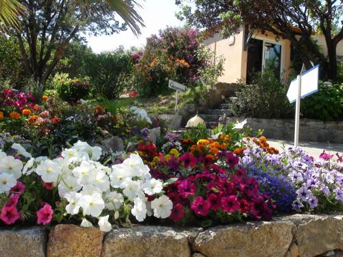 Olmeto France Last Minute Discount Code Booking.com
