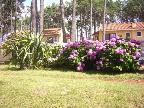 Punta Del Este Uruguay Last Minute Discount Code Agoda.com