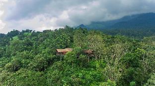 Wayanad India Last Minute Discount Code Agoda.com