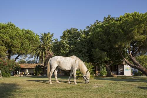 Saintes Maries de la Mer Francia Último Minuto Código de Descuento Booking.com